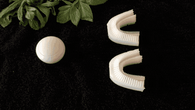 Amabrush The mouthpiece and handpiece are connected with a magnet.